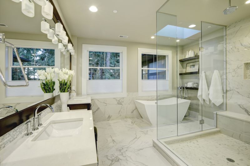 Elegant Tub and Shower Combo